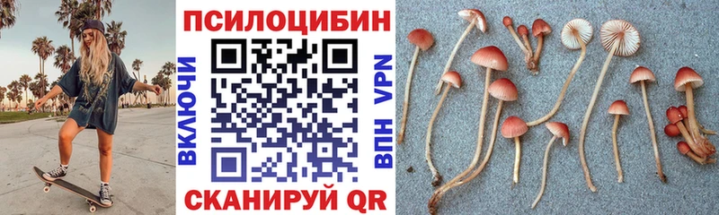 Псилоцибиновые грибы Psilocybe  Севастополь 